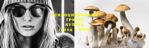 МДПВ Алзамай