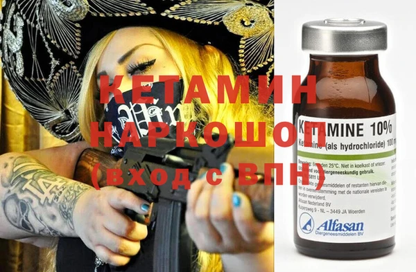 ешки Алексин