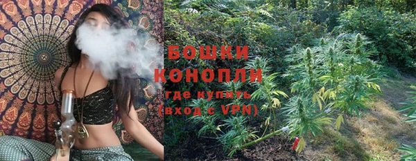 ГАЛЛЮЦИНОГЕННЫЕ ГРИБЫ Алексеевка