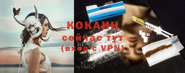 ешки Алексин